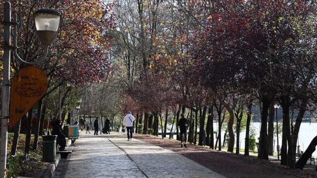 grand park